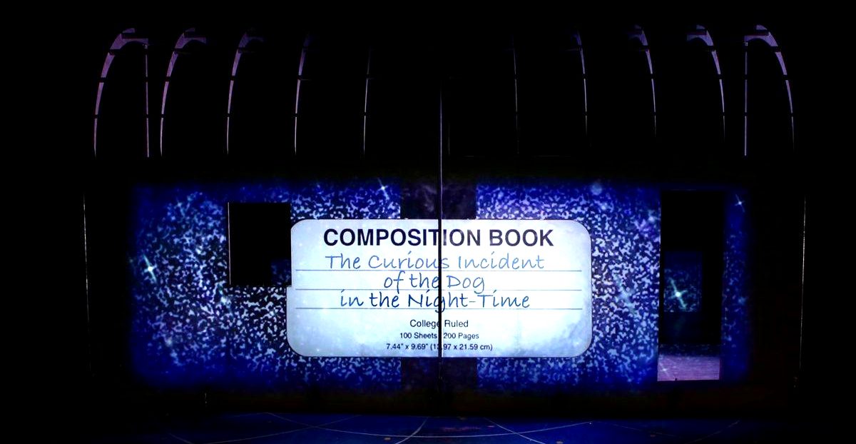 Curious Incident production photo 1