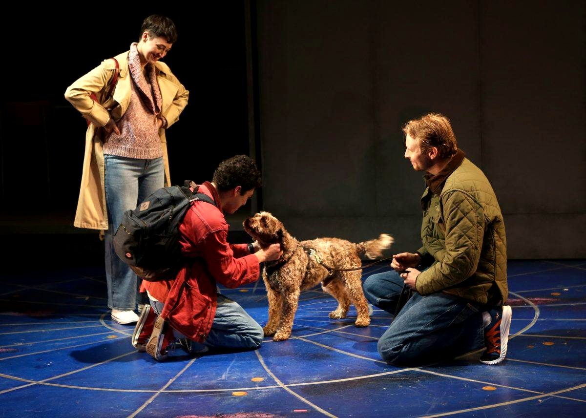 Curious Incident production photo 9