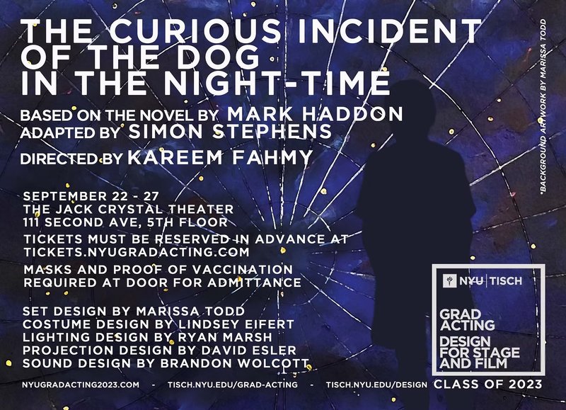Curious Incident poster large