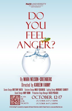 Do You Feel Anger? poster