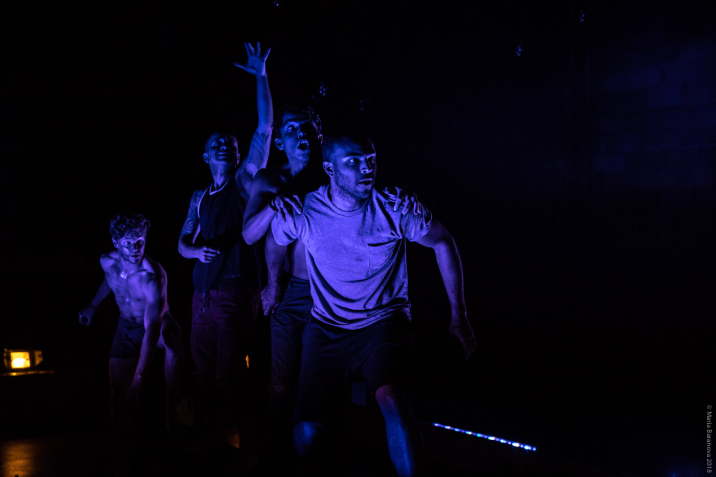 The Triumphant — Target Margin Theatre