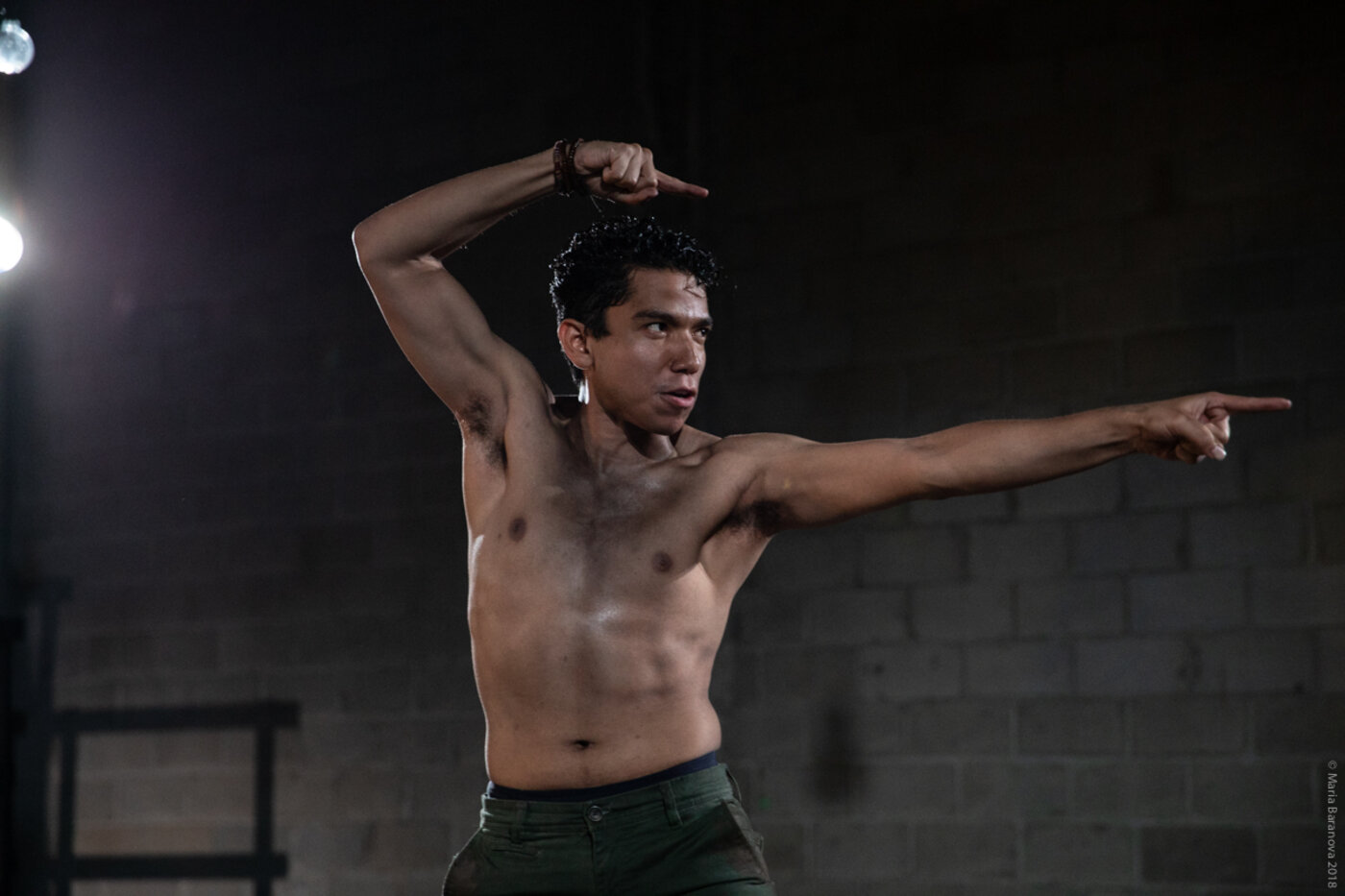 The Triumphant — Target Margin Theatre